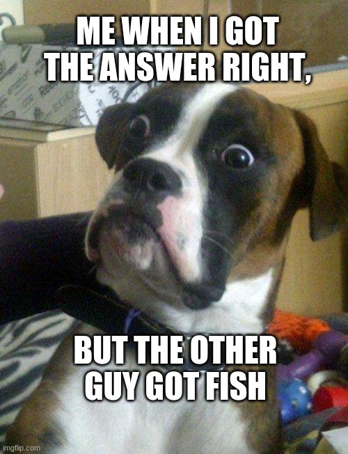 me  in math | ME WHEN I GOT THE ANSWER RIGHT, BUT THE OTHER GUY GOT FISH | made w/ Imgflip meme maker