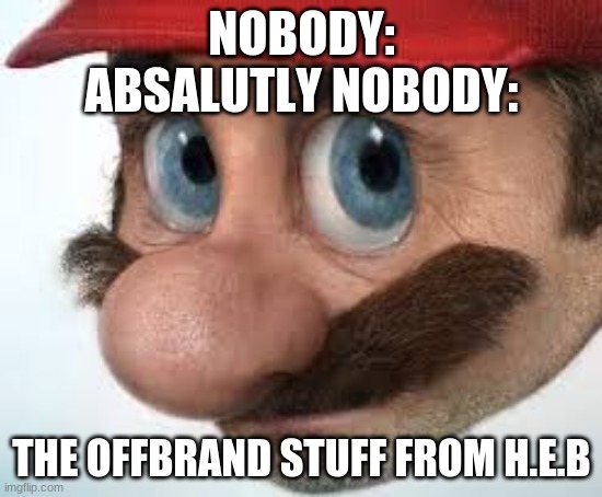 NOBODY:
ABSOLUTELY NOBODY:; THE OFFBRAND STUFF FROM H.E.B | image tagged in lmao | made w/ Imgflip meme maker
