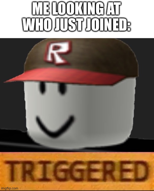 WHAT THE HECK | ME LOOKING AT WHO JUST JOINED: | image tagged in roblox triggered,memes,funny,wtf,imgflip | made w/ Imgflip meme maker