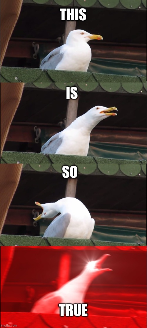 Inhaling Seagull Meme | THIS IS SO TRUE | image tagged in memes,inhaling seagull | made w/ Imgflip meme maker