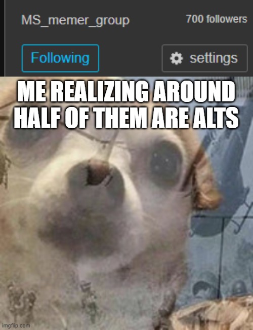 350 | ME REALIZING AROUND HALF OF THEM ARE ALTS | image tagged in vietnam dog flashbacks | made w/ Imgflip meme maker