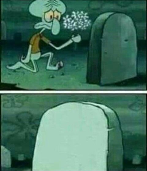 Rip to somebody Blank Meme Template