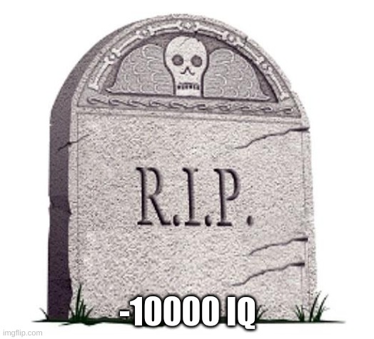 RIP | -10000 IQ | image tagged in rip | made w/ Imgflip meme maker