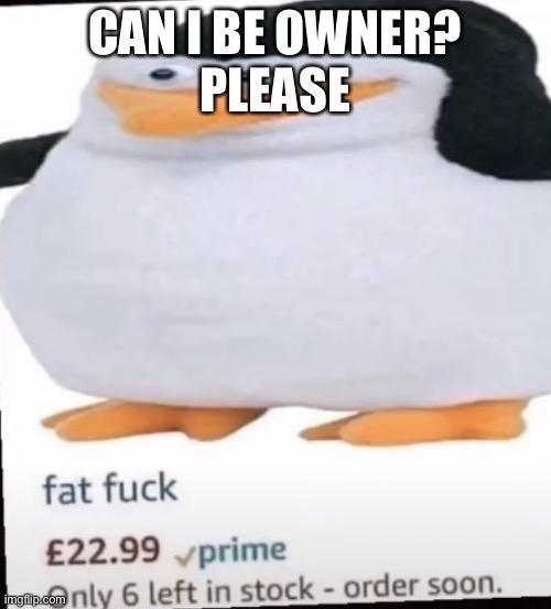 Bruh | CAN I BE OWNER?
PLEASE | image tagged in olly is hot | made w/ Imgflip meme maker