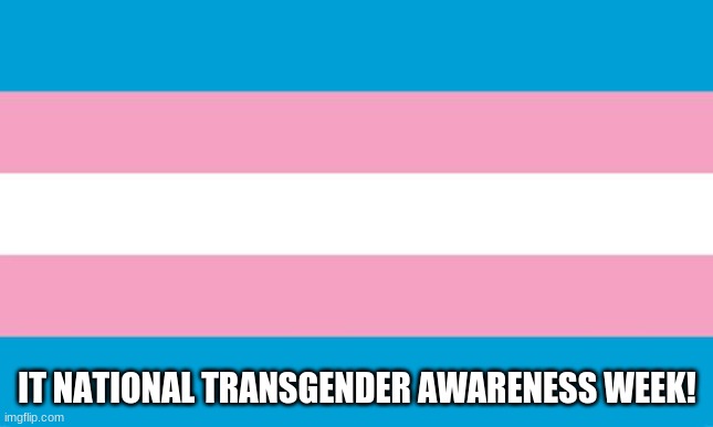 To all you trans, I support you! :D | IT NATIONAL TRANSGENDER AWARENESS WEEK! | image tagged in transgender flag | made w/ Imgflip meme maker