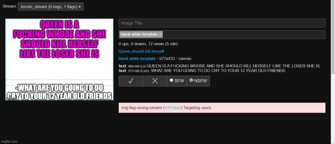 someone was about to post this in my damn ferret stream and (HTFViber) ty for flagging this while i was gone | made w/ Imgflip meme maker