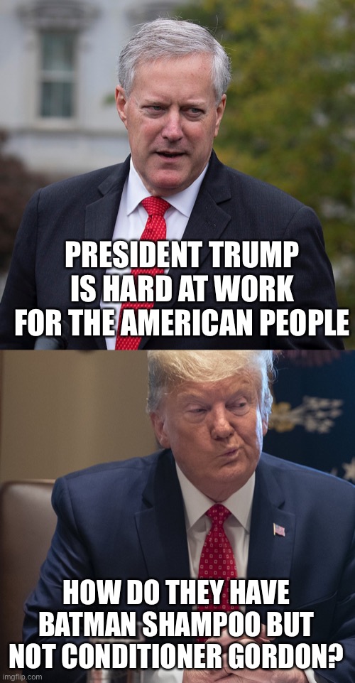 Deep Thoughts Trump | PRESIDENT TRUMP IS HARD AT WORK FOR THE AMERICAN PEOPLE; HOW DO THEY HAVE BATMAN SHAMPOO BUT NOT CONDITIONER GORDON? | image tagged in memes,donald trump | made w/ Imgflip meme maker