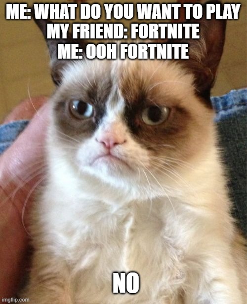 NO | ME: WHAT DO YOU WANT TO PLAY
MY FRIEND: FORTNITE
ME: OOH FORTNITE; NO | image tagged in memes,grumpy cat | made w/ Imgflip meme maker