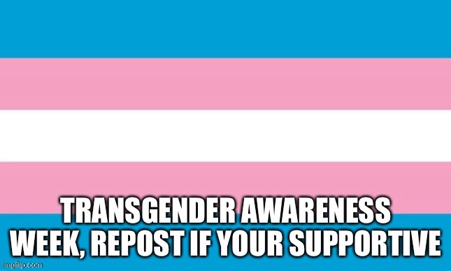UwU | image tagged in transgender,support,repost | made w/ Imgflip meme maker