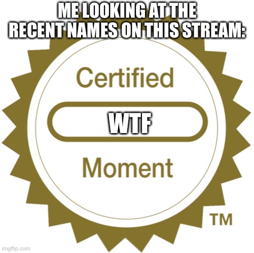 WHAT THE HECK | ME LOOKING AT THE RECENT NAMES ON THIS STREAM:; WTF | image tagged in certified moment,memes,funny,imgflip,wtf,usernames | made w/ Imgflip meme maker