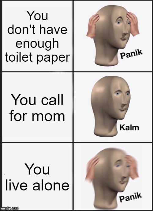 Panik Kalm Panik Meme | You don't have enough toilet paper; You call for mom; You live alone | image tagged in memes,panik kalm panik | made w/ Imgflip meme maker