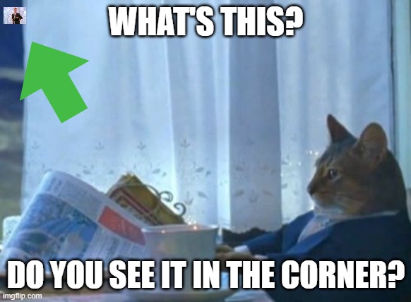 I wonder... | WHAT'S THIS? DO YOU SEE IT IN THE CORNER? | image tagged in memes,i should buy a boat cat | made w/ Imgflip meme maker