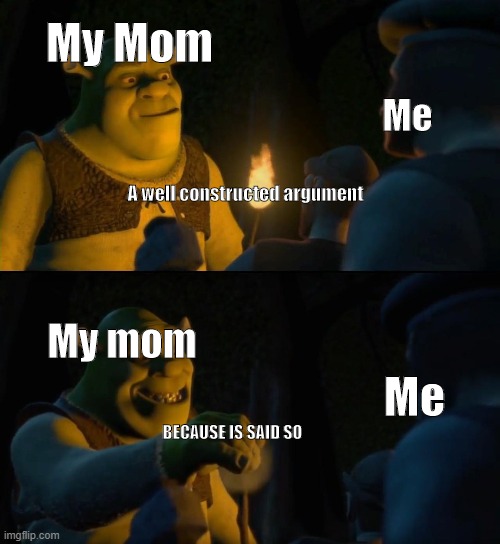 Shrek puts out torch | My Mom; Me; A well constructed argument; My mom; Me; BECAUSE IS SAID SO | image tagged in shrek puts out torch | made w/ Imgflip meme maker