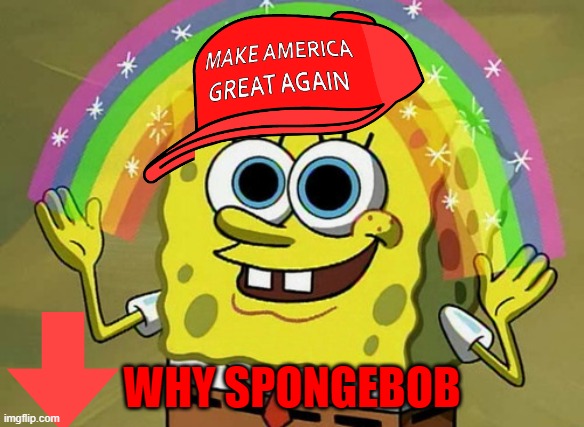 WHY SPONGEBOB | image tagged in spongebob | made w/ Imgflip meme maker