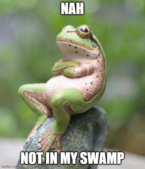 nah frog | NAH NOT IN MY SWAMP | image tagged in nah frog | made w/ Imgflip meme maker