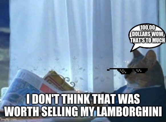 Rich cat | 100,00 DOLLARS WOW THAT'S TO MUCH; I DON'T THINK THAT WAS WORTH SELLING MY LAMBORGHINI | image tagged in memes,i should buy a boat cat | made w/ Imgflip meme maker