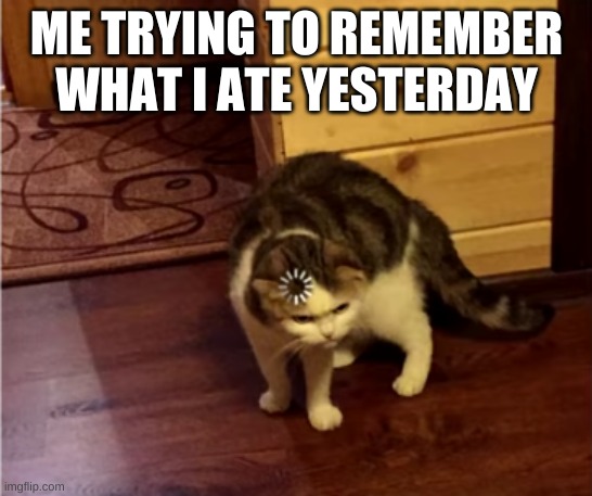 Loading Cat HD | ME TRYING TO REMEMBER WHAT I ATE YESTERDAY | image tagged in loading cat hd | made w/ Imgflip meme maker