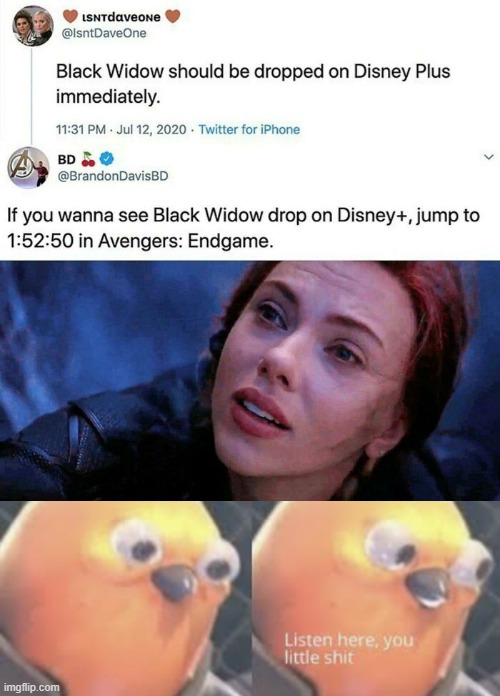 Black Widow should Drop on Disney +....but she already did!!!! | image tagged in listen here you little shit bird | made w/ Imgflip meme maker