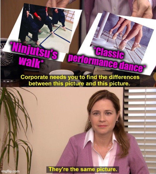 -Walking on toes. | *Ninjutsu's walk*; *Classic performance dance* | image tagged in memes,they're the same picture,ninjas,dubstep,ballet,classical music | made w/ Imgflip meme maker