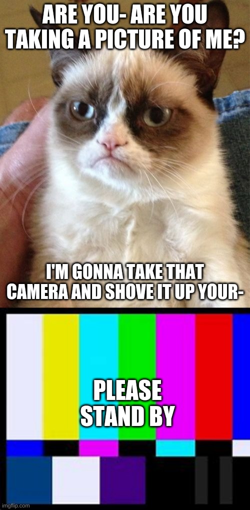 ARE YOU- ARE YOU TAKING A PICTURE OF ME? I'M GONNA TAKE THAT CAMERA AND SHOVE IT UP YOUR-; PLEASE STAND BY | image tagged in memes,grumpy cat | made w/ Imgflip meme maker