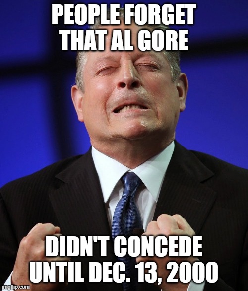 Al gore | PEOPLE FORGET THAT AL GORE DIDN'T CONCEDE UNTIL DEC. 13, 2000 | image tagged in al gore | made w/ Imgflip meme maker