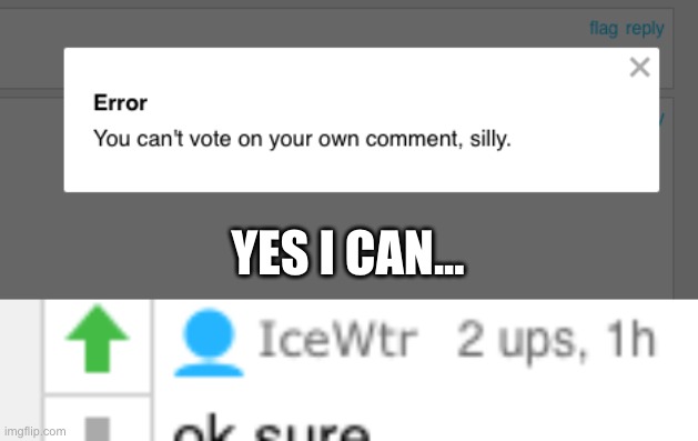 YES I CAN BOI | YES I CAN... | image tagged in fun | made w/ Imgflip meme maker