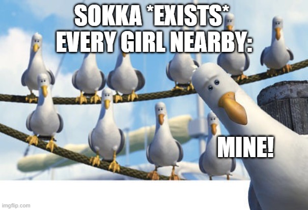 popular sokka | SOKKA *EXISTS* 
EVERY GIRL NEARBY:; MINE! | image tagged in finding nemo seagulls | made w/ Imgflip meme maker