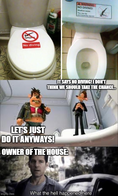 Flushed away! | IT SAYS NO DIVING! I DON'T THINK WE SHOULD TAKE THE CHANCE... LET'S JUST DO IT ANYWAYS! OWNER OF THE HOUSE: | image tagged in what the hell happened here,funny,memes | made w/ Imgflip meme maker