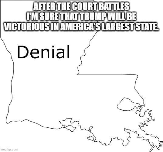 Trump's State of denial | AFTER THE COURT BATTLES I'M SURE THAT TRUMP WILL BE VICTORIOUS IN AMERICA'S LARGEST STATE. | image tagged in donald trump | made w/ Imgflip meme maker