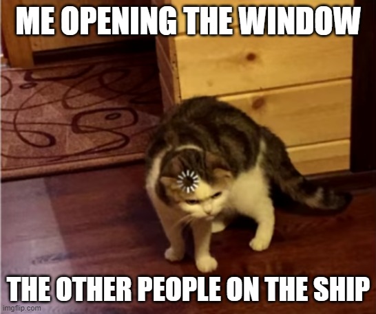 Loading Cat HD | ME OPENING THE WINDOW; THE OTHER PEOPLE ON THE SHIP | image tagged in loading cat hd | made w/ Imgflip meme maker