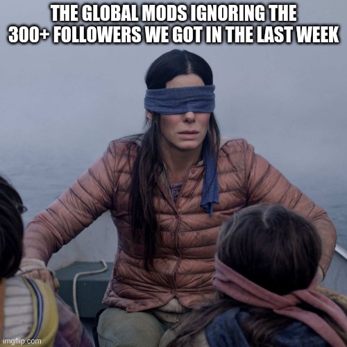 Bird Box | THE GLOBAL MODS IGNORING THE 300+ FOLLOWERS WE GOT IN THE LAST WEEK | image tagged in memes,bird box | made w/ Imgflip meme maker