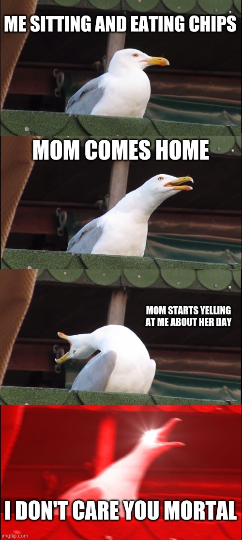 facts -3- | ME SITTING AND EATING CHIPS; MOM COMES HOME; MOM STARTS YELLING AT ME ABOUT HER DAY; I DON'T CARE YOU MORTAL | image tagged in memes,inhaling seagull | made w/ Imgflip meme maker