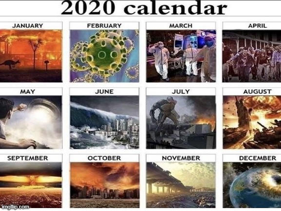 2020 LOL | image tagged in memes,2020,2020 sucks,coronavirus,tsunami,the end of world | made w/ Imgflip meme maker