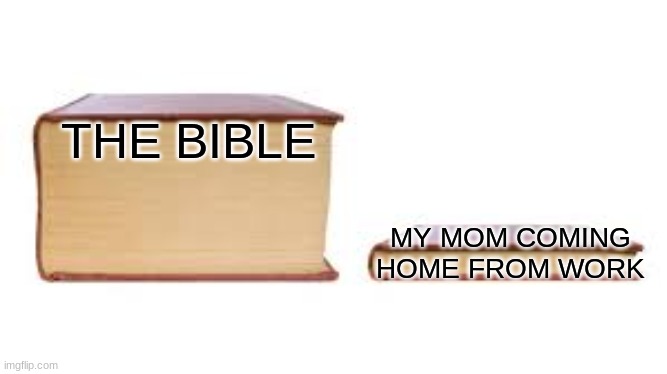 Meme man Bibles | THE BIBLE; MY MOM COMING HOME FROM WORK | image tagged in big book small book | made w/ Imgflip meme maker