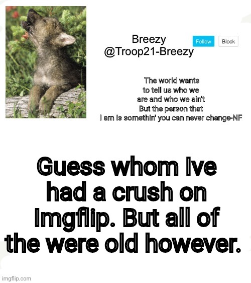 Trooper21-Breezy template | Guess whom Ive had a crush on Imgflip. But all of the were old however. | image tagged in trooper21-breezy template | made w/ Imgflip meme maker