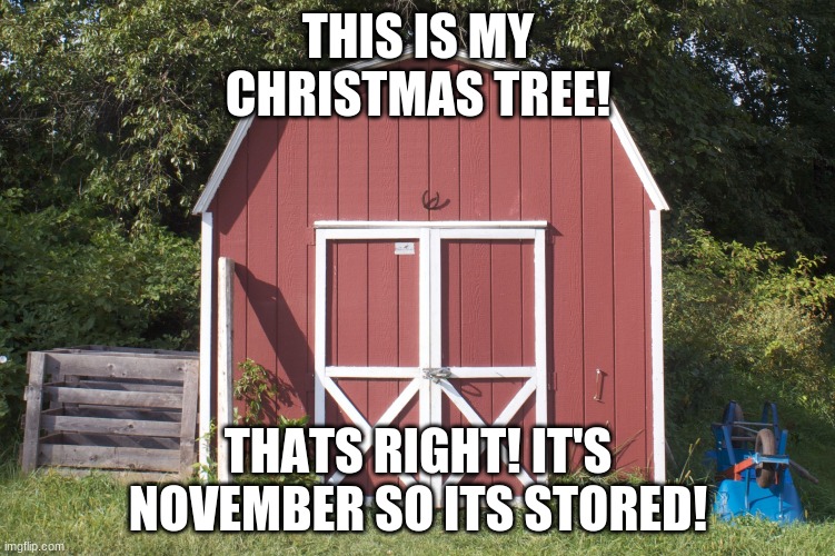 eh | THIS IS MY CHRISTMAS TREE! THATS RIGHT! IT'S NOVEMBER SO ITS STORED! | image tagged in shed | made w/ Imgflip meme maker