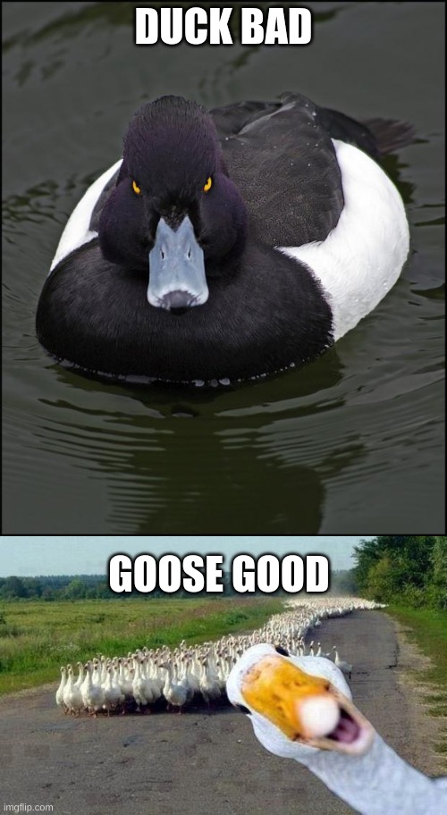 goose goose duck android