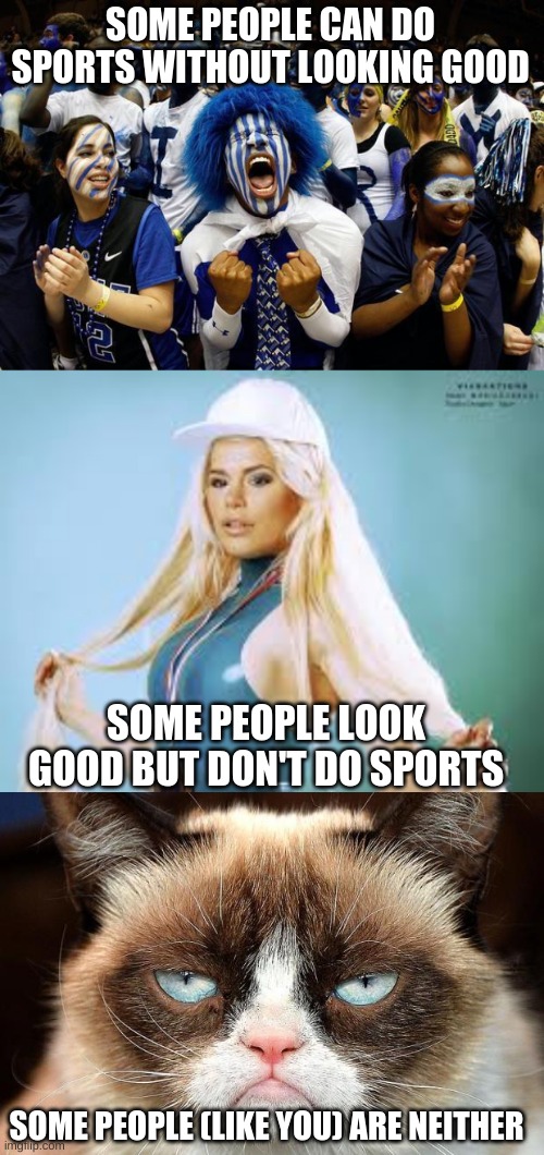 I'm neither as well, not tryna insult anyone | SOME PEOPLE CAN DO SPORTS WITHOUT LOOKING GOOD; SOME PEOPLE LOOK GOOD BUT DON'T DO SPORTS; SOME PEOPLE (LIKE YOU) ARE NEITHER | image tagged in crazy sports,maria durbani,memes,grumpy cat not amused | made w/ Imgflip meme maker