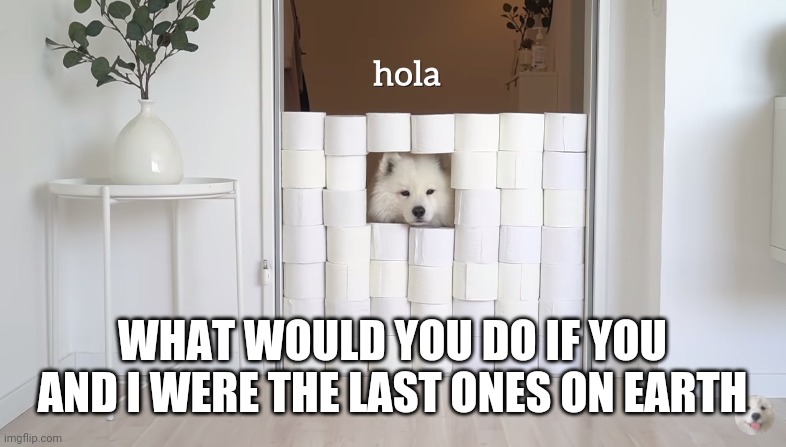 hola | WHAT WOULD YOU DO IF YOU AND I WERE THE LAST ONES ON EARTH | image tagged in hola | made w/ Imgflip meme maker