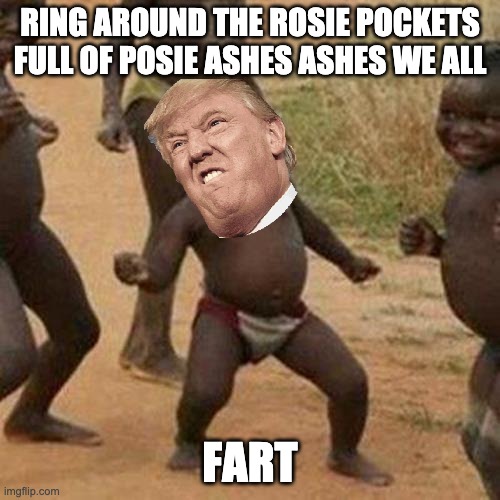 bannana kid ayy | RING AROUND THE ROSIE POCKETS FULL OF POSIE ASHES ASHES WE ALL; FART | image tagged in memes,third world success kid | made w/ Imgflip meme maker