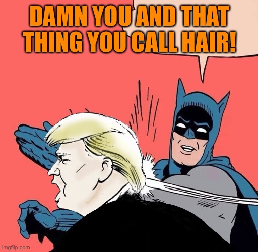 Batman slaps Trump | DAMN YOU AND THAT THING YOU CALL HAIR! | image tagged in batman slaps trump | made w/ Imgflip meme maker