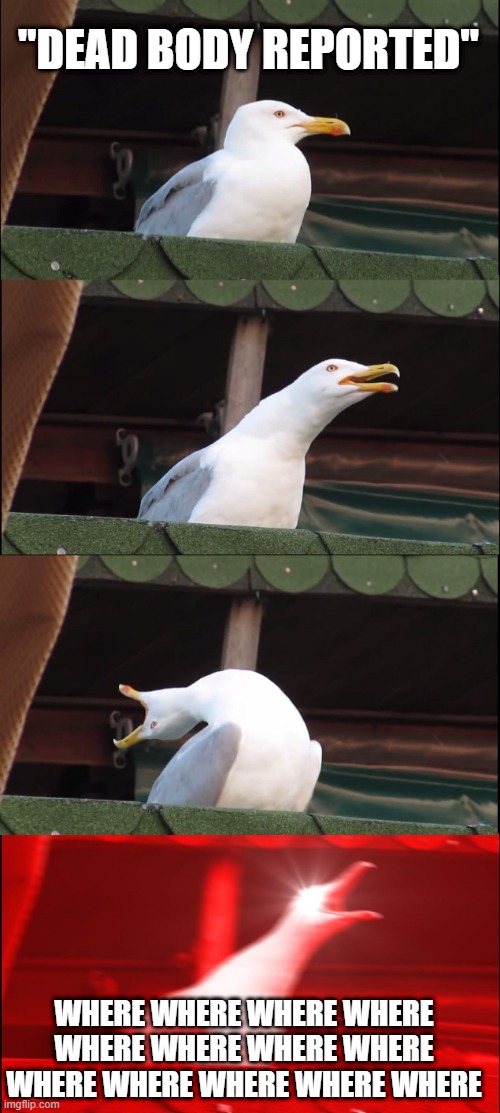 Inhaling Seagull | "DEAD BODY REPORTED"; WHERE WHERE WHERE WHERE WHERE WHERE WHERE WHERE WHERE WHERE WHERE WHERE WHERE | image tagged in memes,inhaling seagull | made w/ Imgflip meme maker