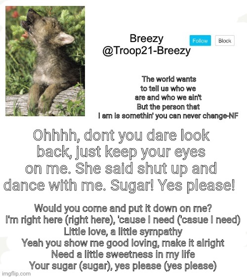 Trooper21-Breezy template | Ohhhh, dont you dare look back, just keep your eyes on me. She said shut up and dance with me. Sugar! Yes please! Would you come and put it down on me?
I'm right here (right here), 'cause I need ('casue I need)
Little love, a little sympathy
Yeah you show me good loving, make it alright
Need a little sweetness in my life
Your sugar (sugar), yes please (yes please) | image tagged in trooper21-breezy template | made w/ Imgflip meme maker