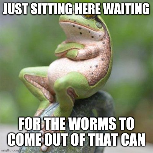 frog waiting | JUST SITTING HERE WAITING; FOR THE WORMS TO COME OUT OF THAT CAN | image tagged in frog waiting | made w/ Imgflip meme maker