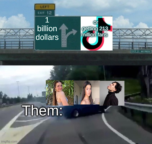 tik tok | 1 billion dollars; or getting 213 million fans; Them: | image tagged in memes,left exit 12 off ramp | made w/ Imgflip meme maker