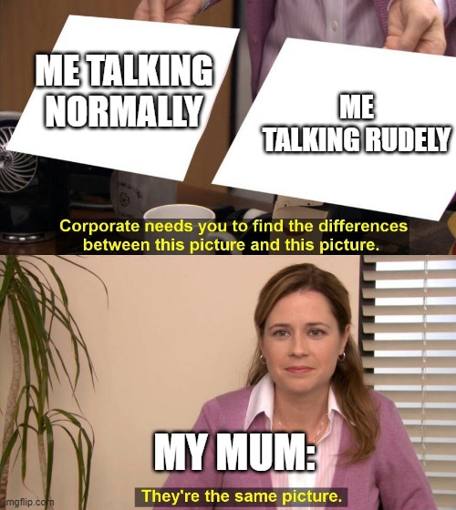 Every. Damn. Time. | ME TALKING NORMALLY; ME TALKING RUDELY; MY MUM: | image tagged in they are the same picture | made w/ Imgflip meme maker