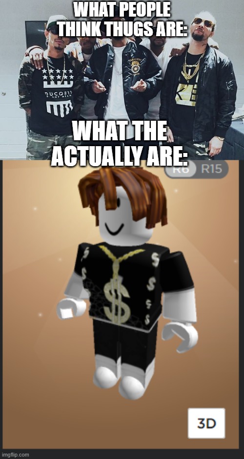 What people think thugs are vs what they are | WHAT PEOPLE THINK THUGS ARE:; WHAT THE ACTUALLY ARE: | image tagged in roblox,thug life | made w/ Imgflip meme maker