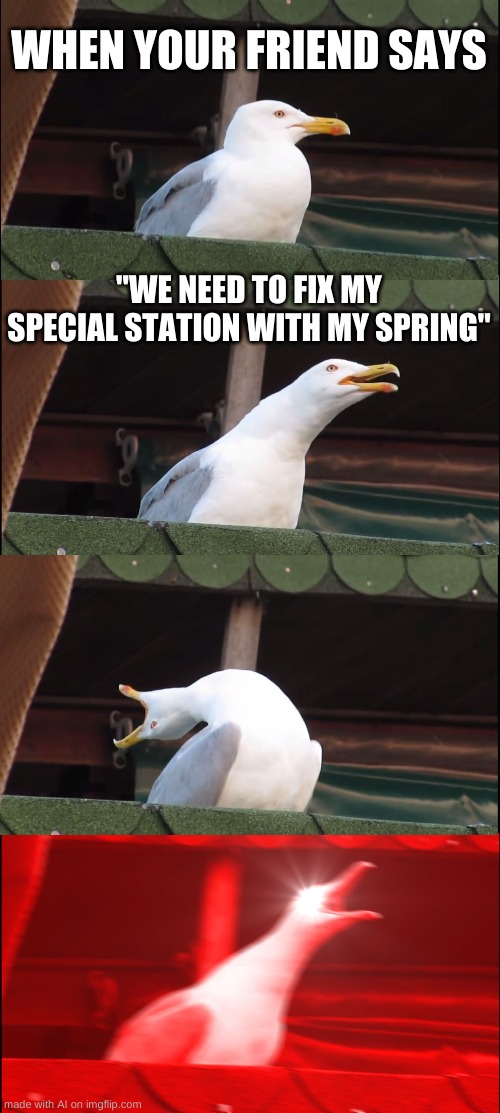 wat | WHEN YOUR FRIEND SAYS; "WE NEED TO FIX MY SPECIAL STATION WITH MY SPRING" | image tagged in memes,inhaling seagull | made w/ Imgflip meme maker