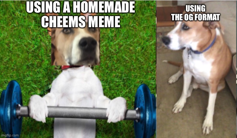 Different cheems meme | USING A HOMEMADE CHEEMS MEME; USING THE OG FORMAT | image tagged in cheems | made w/ Imgflip meme maker