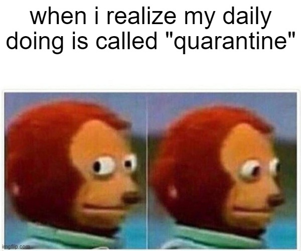 Monkey Puppet | when i realize my daily doing is called "quarantine" | image tagged in memes,monkey puppet | made w/ Imgflip meme maker
